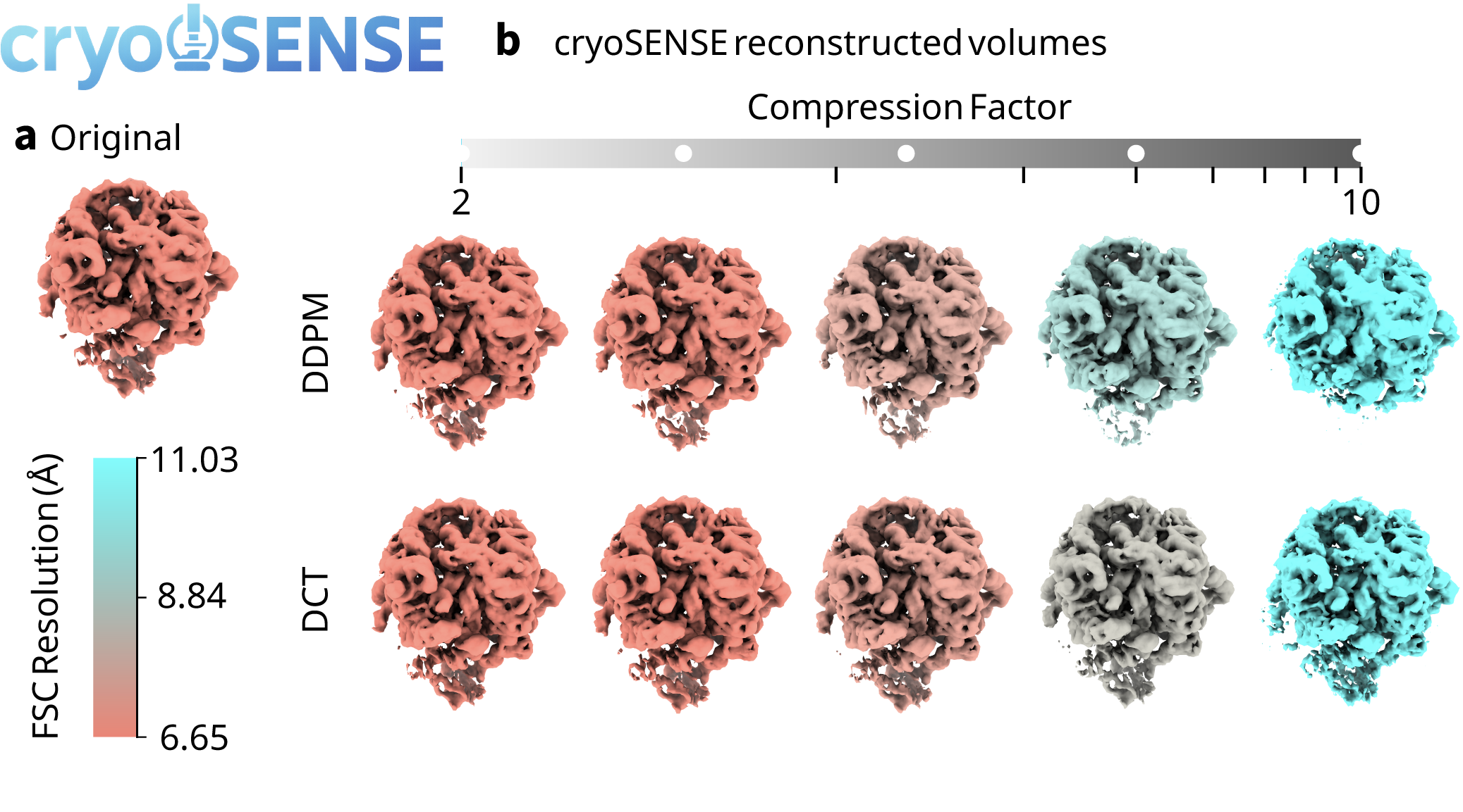 cryoSENSE overview visualization